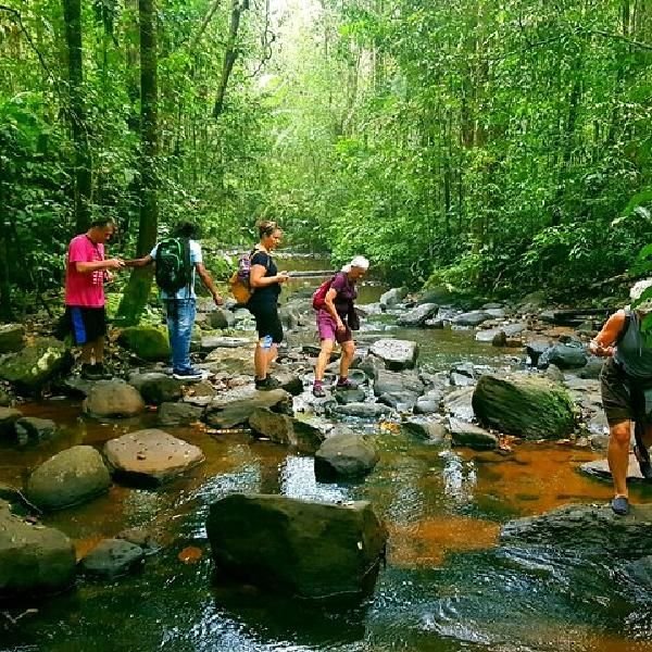 Sinharaja Forest Reserve